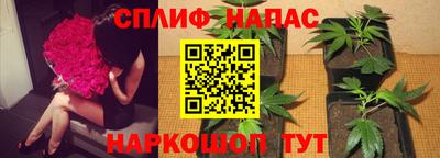 молекула духа Кулебаки