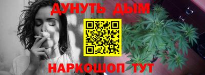 молекула духа Кулебаки